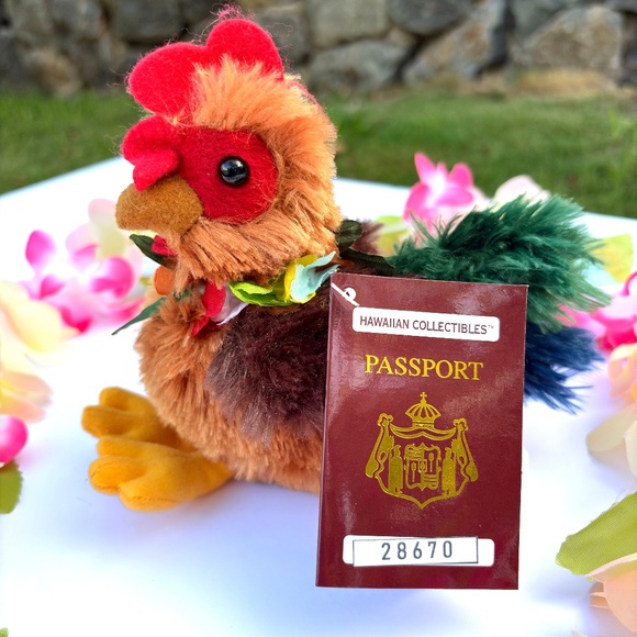 Adopt an Island Rooster - Ha'aheo - Picture 4 of 5